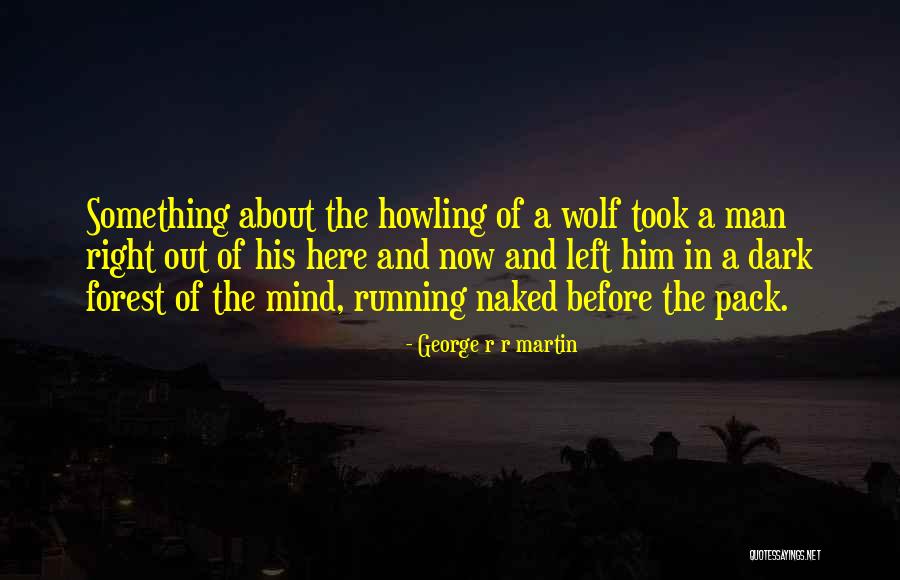 Best Wolf Pack Quotes By George R R Martin