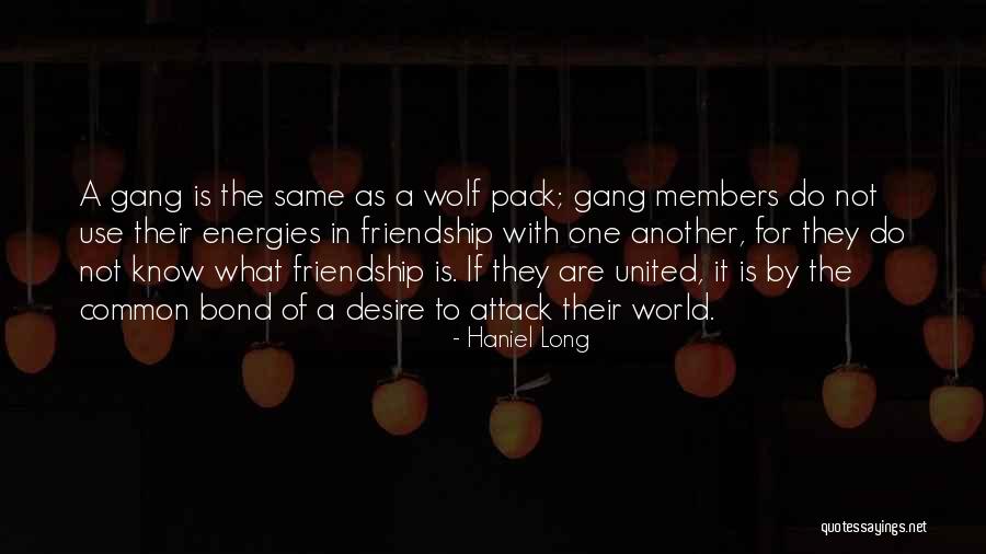 Best Wolf Pack Quotes By Haniel Long