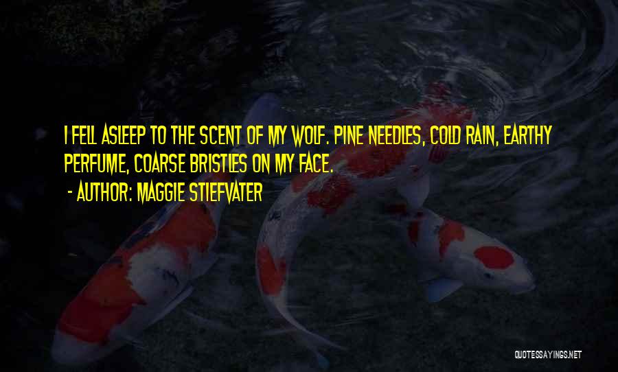 Best Wolf's Rain Quotes By Maggie Stiefvater