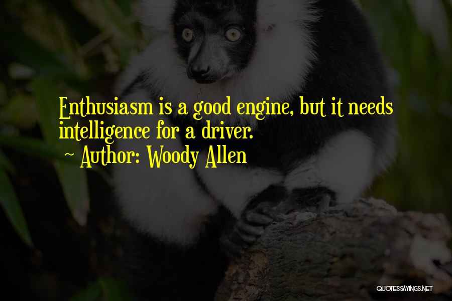 Best Woody Allen Quotes By Woody Allen