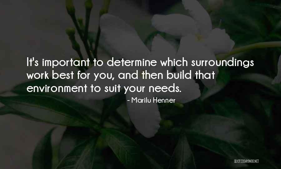 Best Work Environment Quotes By Marilu Henner