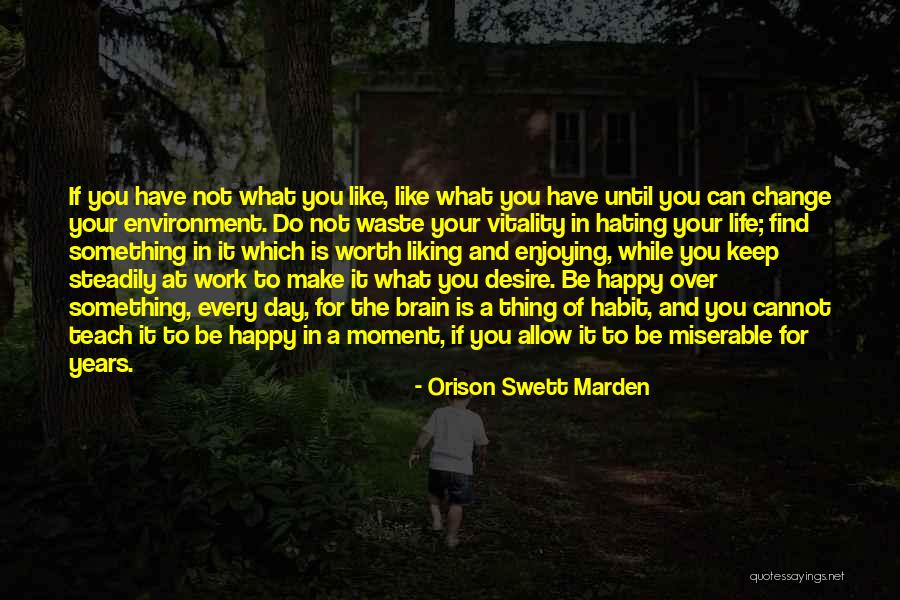 Best Work Environment Quotes By Orison Swett Marden