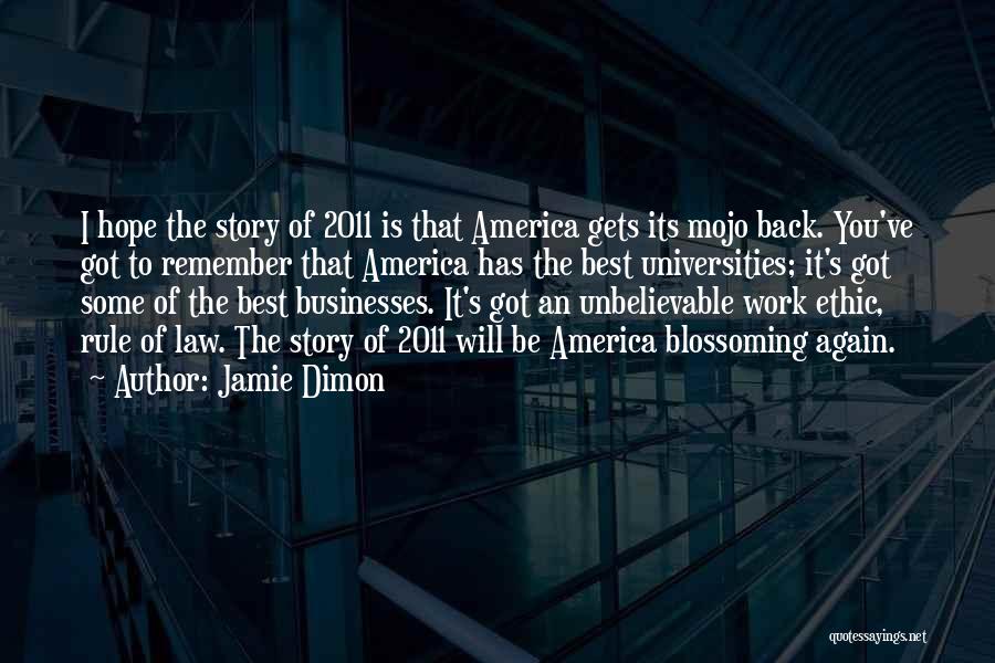 Best Work Ethic Quotes By Jamie Dimon
