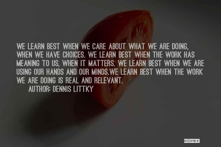 Best Work Motivational Quotes By Dennis Littky