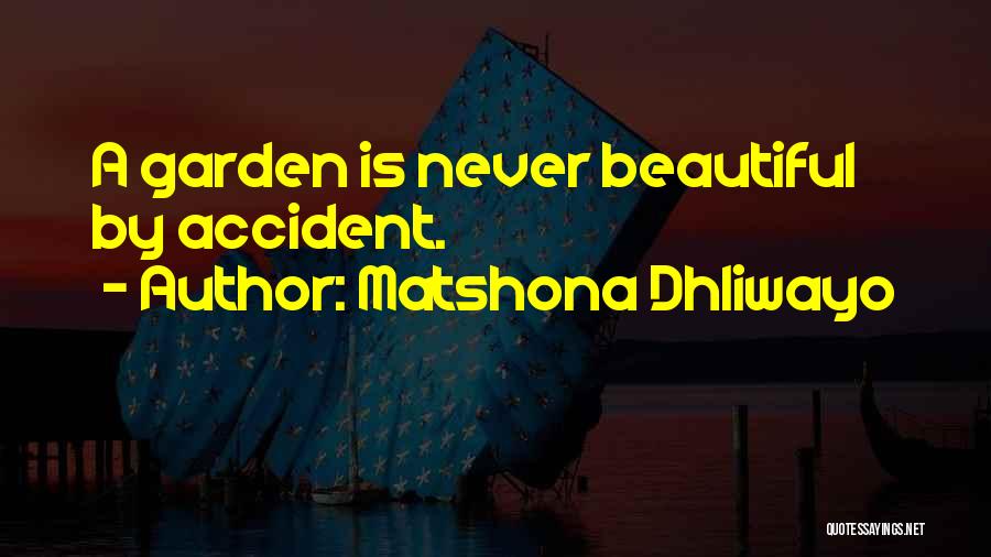 Best Work Motivational Quotes By Matshona Dhliwayo