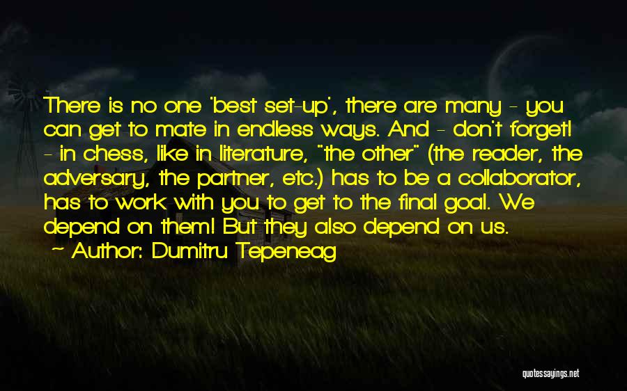 Best Work Partner Quotes By Dumitru Tepeneag