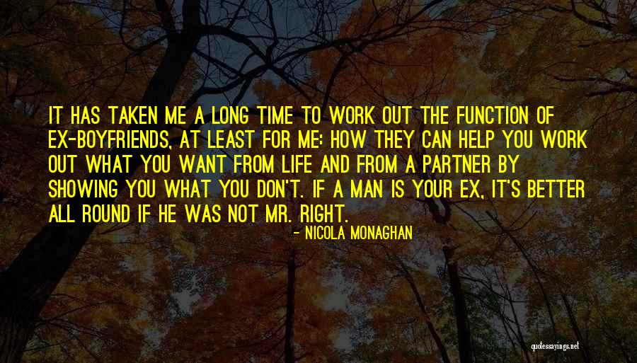 Best Work Partner Quotes By Nicola Monaghan