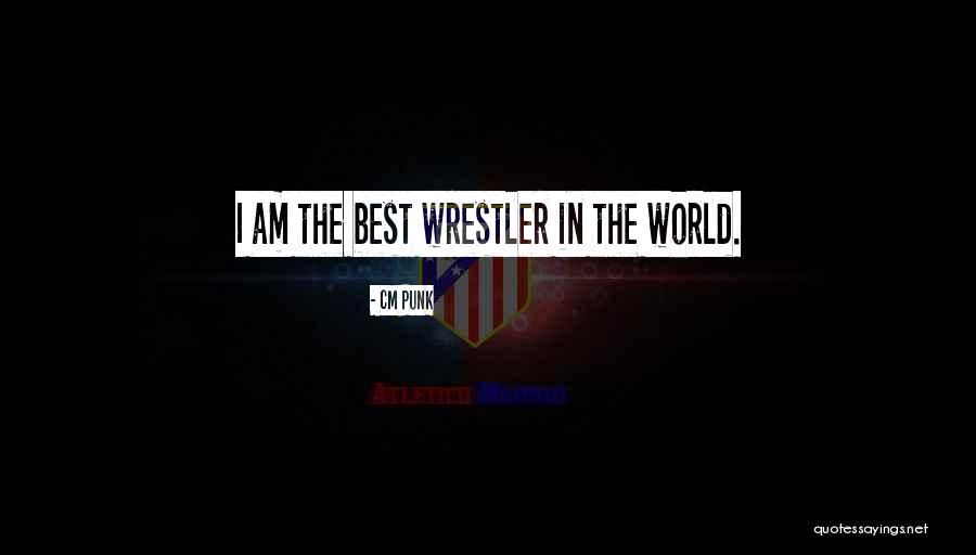 Best Wrestler Quotes By CM Punk