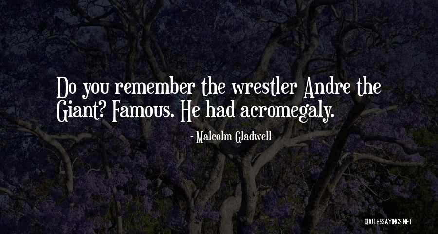 Best Wrestler Quotes By Malcolm Gladwell