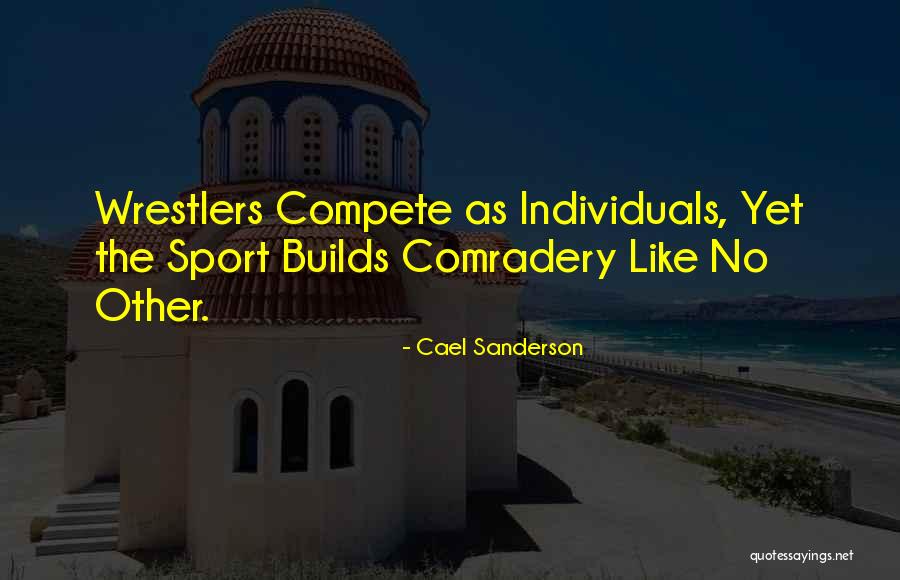 Best Wrestlers Quotes By Cael Sanderson