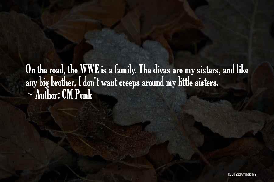 Best Wwe Quotes By CM Punk