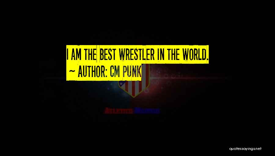 Best Wwe Quotes By CM Punk