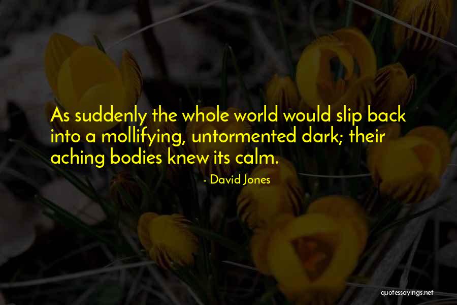 Best Wwi Quotes By David Jones