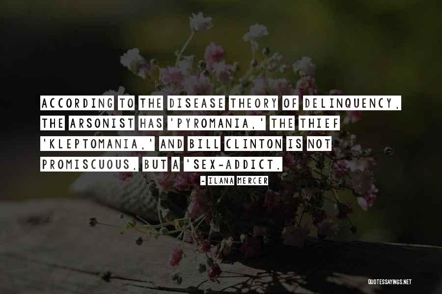 Best Yes Theory Quotes By Ilana Mercer Best Yes Theory Quotes By Ilana Mercer
