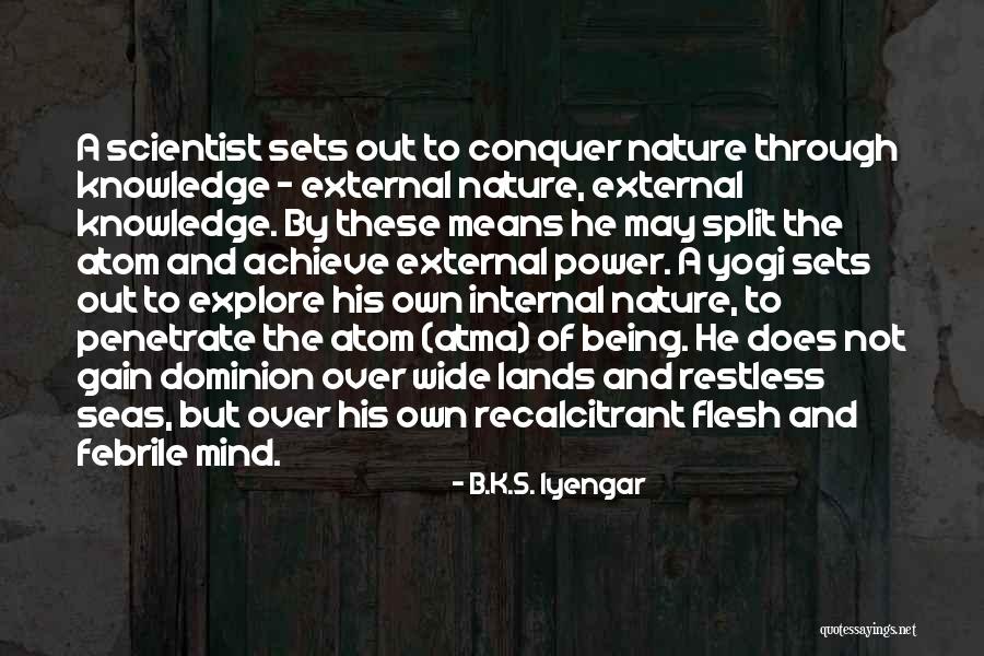 Best Yogi Quotes By B.K.S. Iyengar