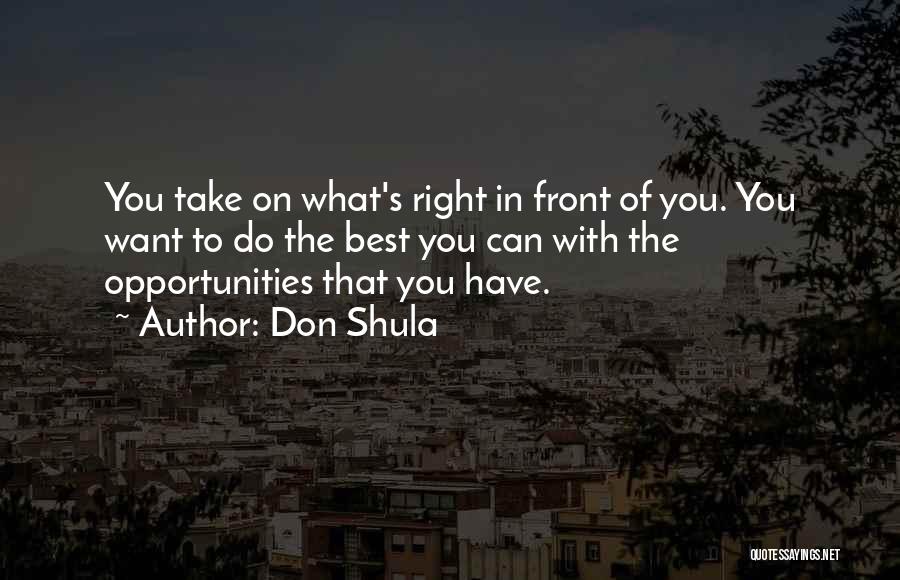 Best You Can Do Quotes By Don Shula