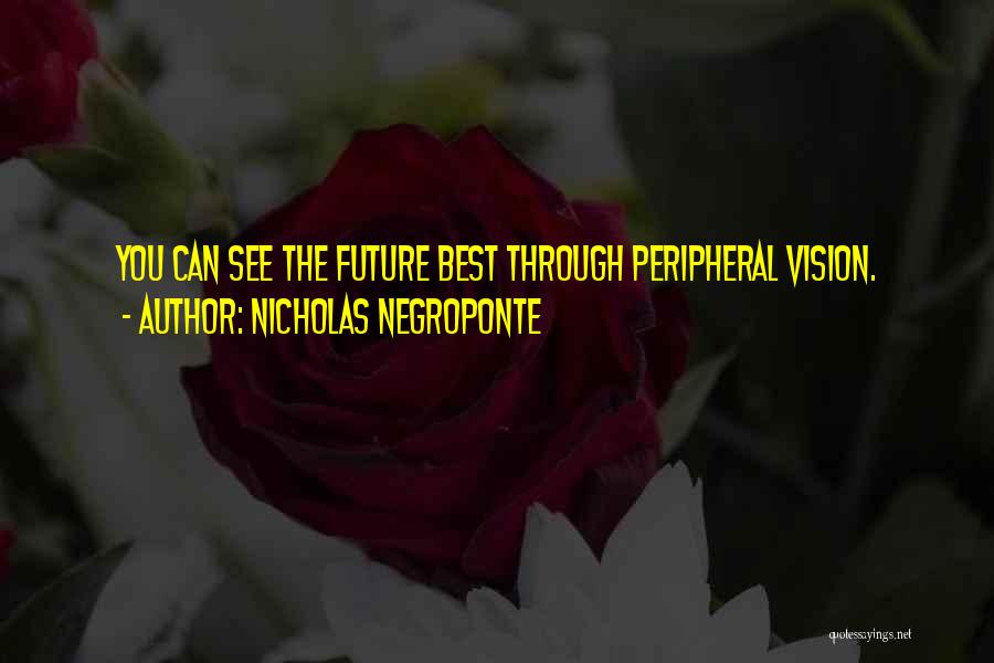 Best You Can Quotes By Nicholas Negroponte