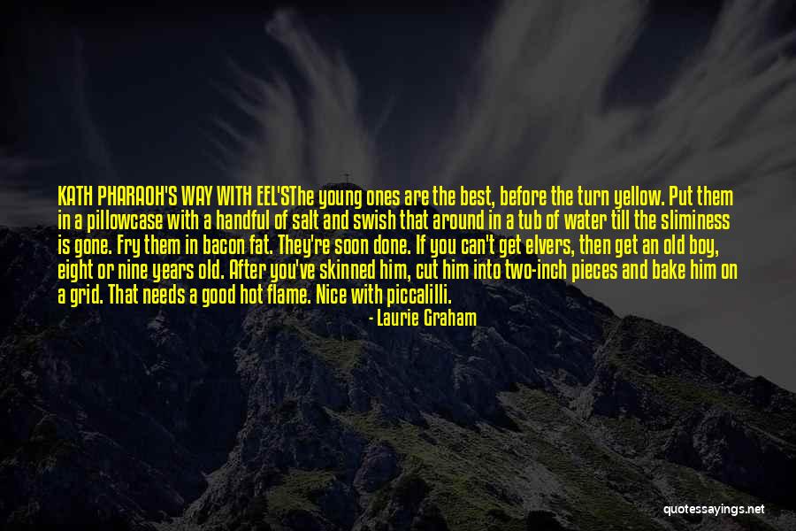 Best Young Ones Quotes By Laurie Graham