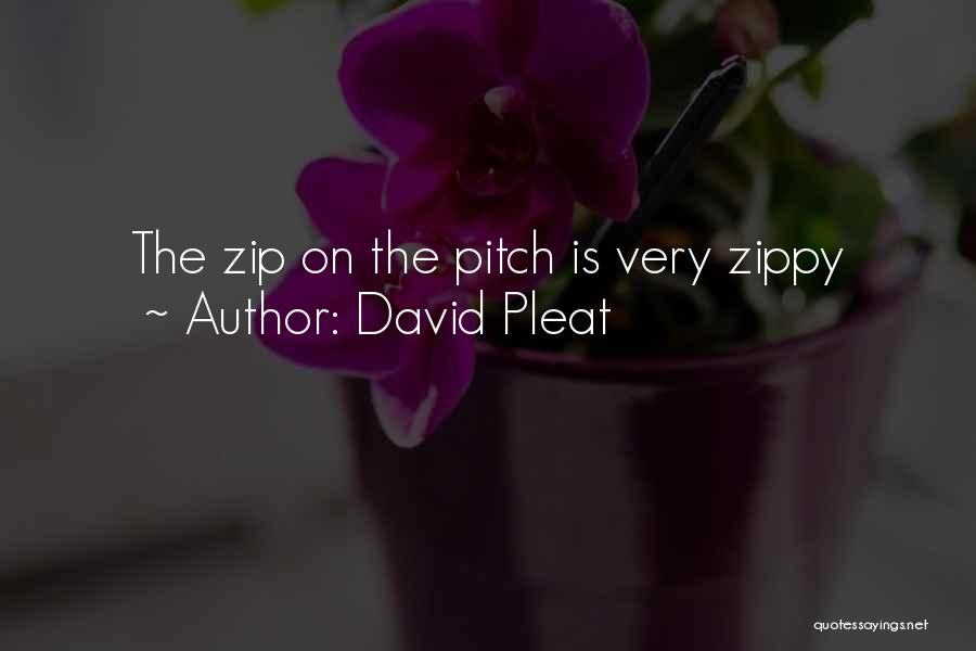 Best Zippy Quotes By David Pleat