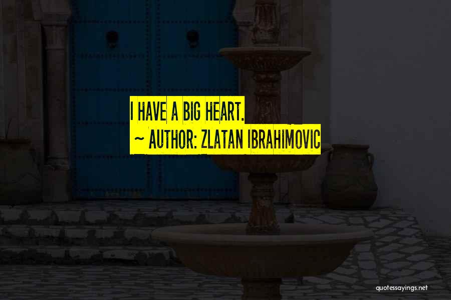 Best Zlatan Ibrahimovic Quotes By Zlatan Ibrahimovic