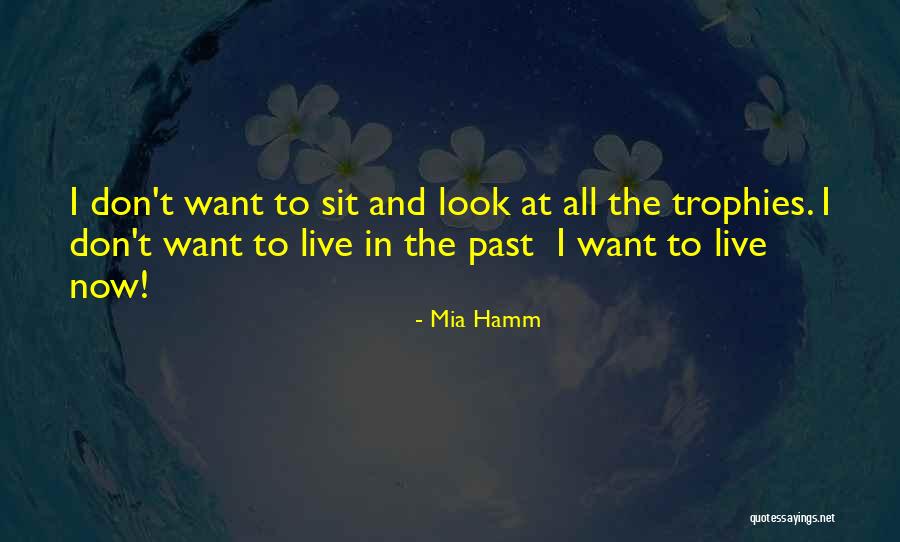 Bestemmingswijziging Quotes By Mia Hamm Bestemmingswijziging Quotes By Mia Hamm