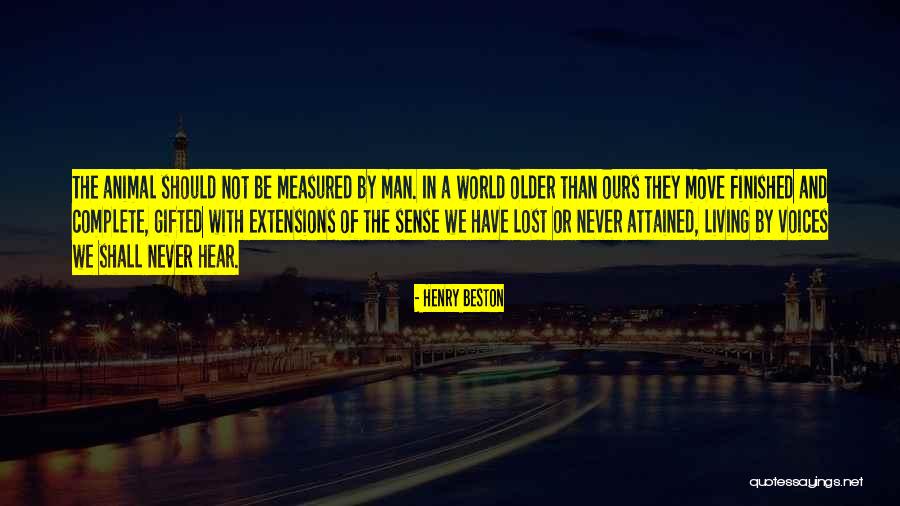 Beston Quotes By Henry Beston Beston Quotes By Henry Beston