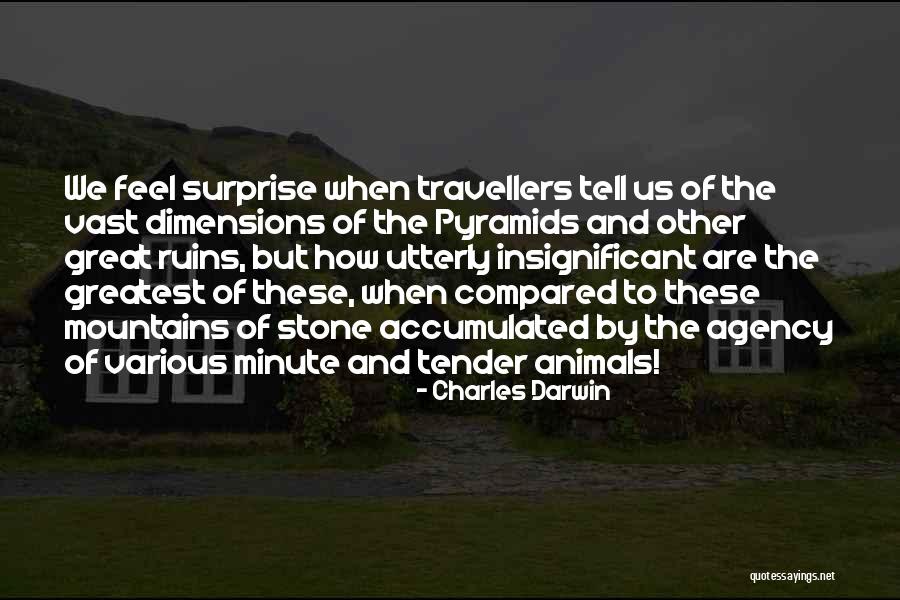 Bestul Chairs Quotes By Charles Darwin Bestul Chairs Quotes By Charles Darwin