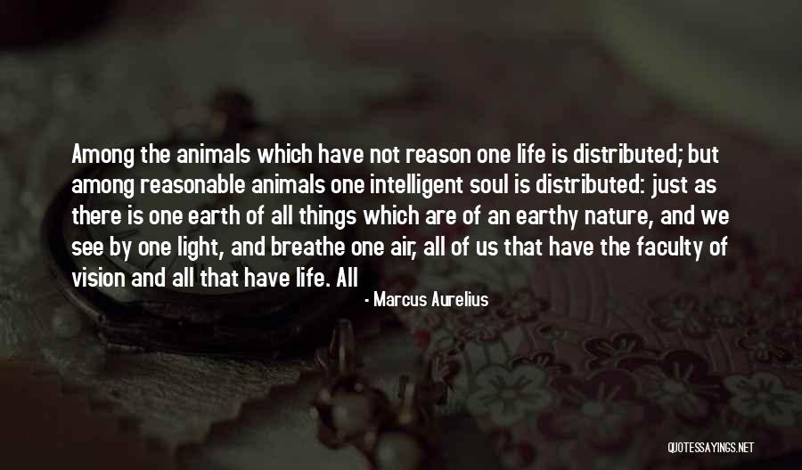 Bestum Sunglasses Quotes By Marcus Aurelius Bestum Sunglasses Quotes By Marcus Aurelius