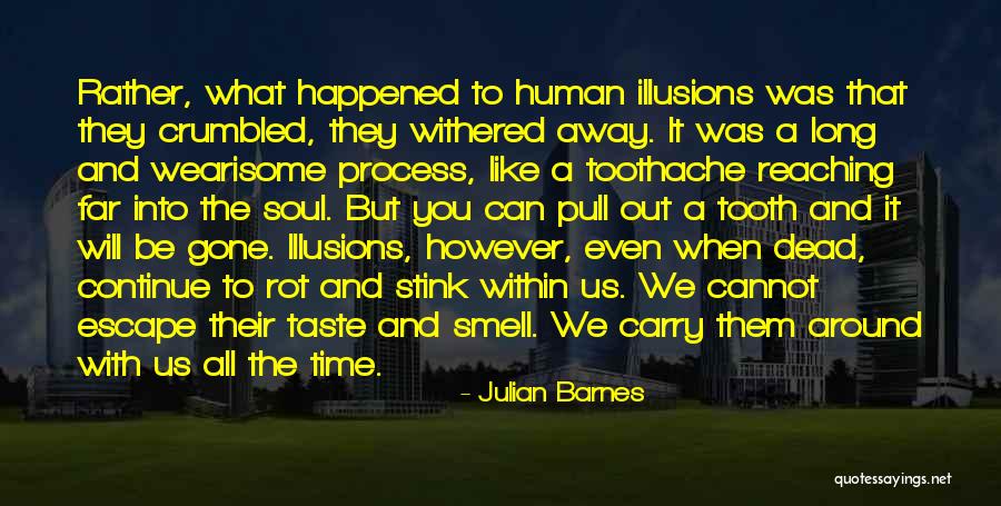 Bestum Vitamin Quotes By Julian Barnes Bestum Vitamin Quotes By Julian Barnes