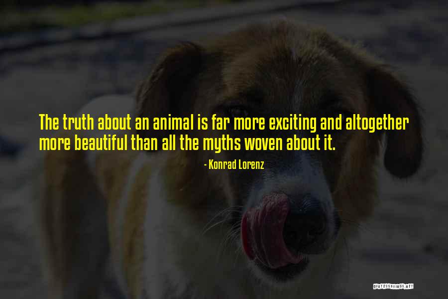 Besugo Fish Quotes By Konrad Lorenz Besugo Fish Quotes By Konrad Lorenz