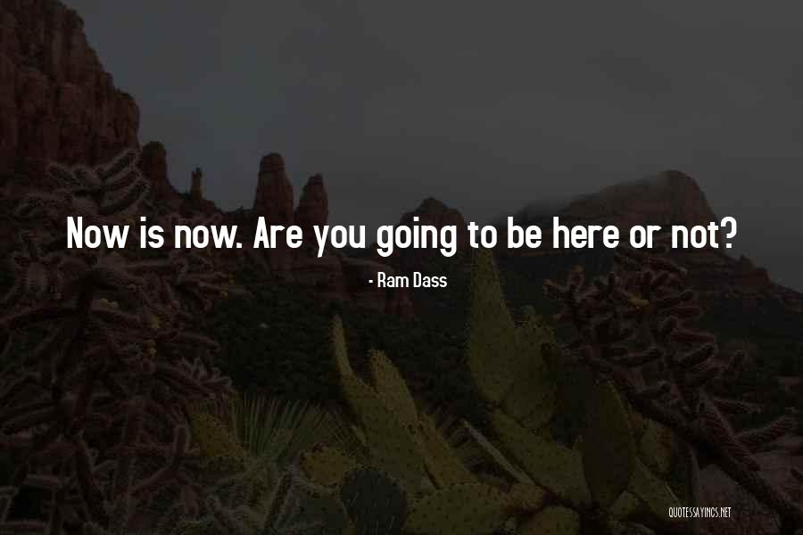 Beta Readers Quotes By Ram Dass Beta Readers Quotes By Ram Dass
