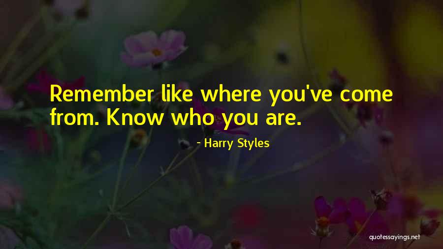 Betaald Of Betaalt Quotes By Harry Styles Betaald Of Betaalt Quotes By Harry Styles