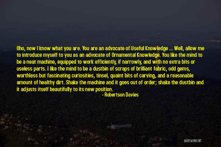 Betaalde Opleiding Quotes By Robertson Davies Betaalde Opleiding Quotes By Robertson Davies
