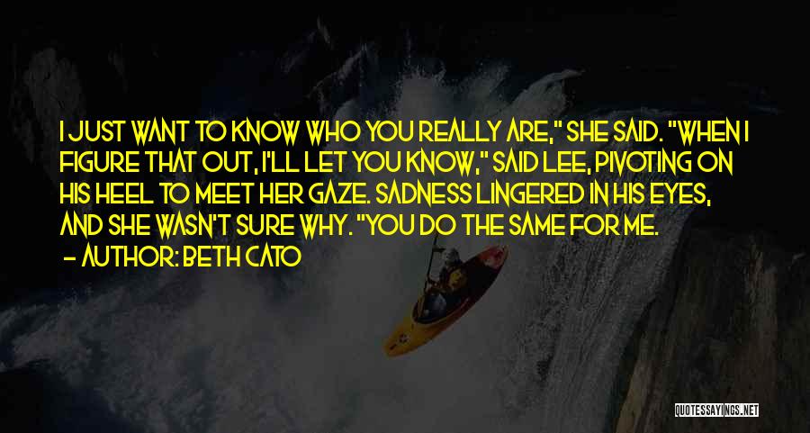 Beth Cato Quotes 1652614
