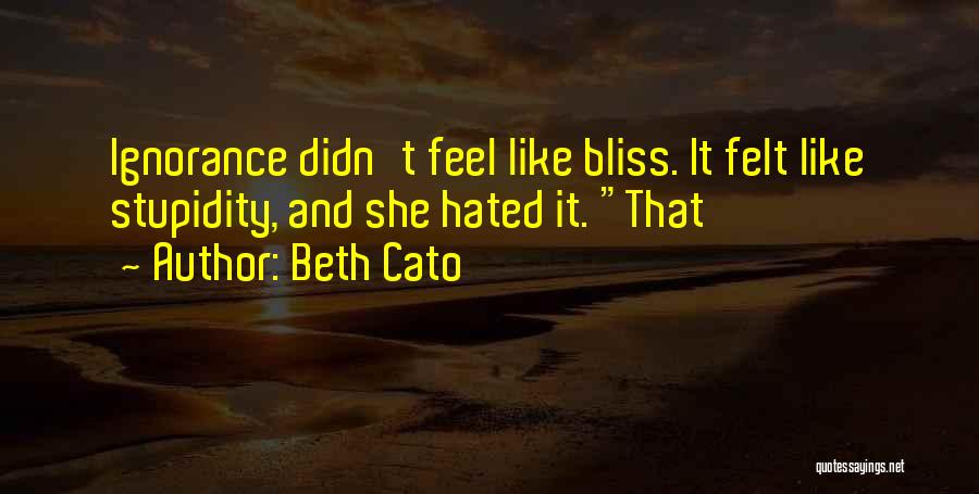 Beth Cato Quotes 2127504