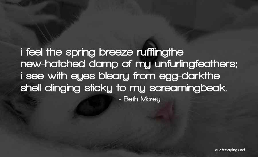 Beth Morey Quotes 1634302 Beth Morey Quotes 1634302