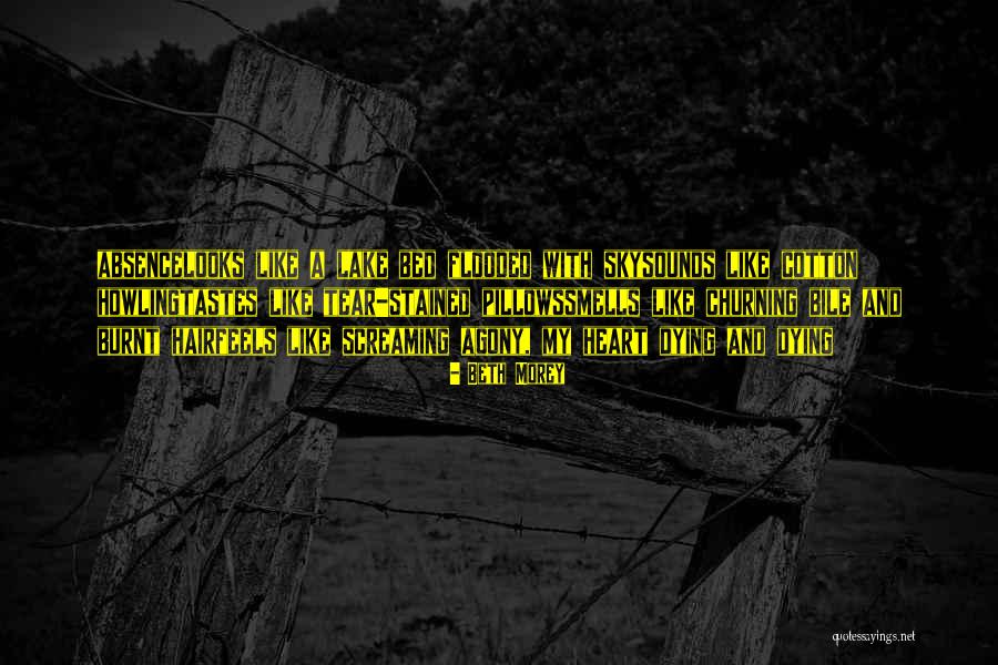 Beth Morey Quotes 238867 Beth Morey Quotes 238867