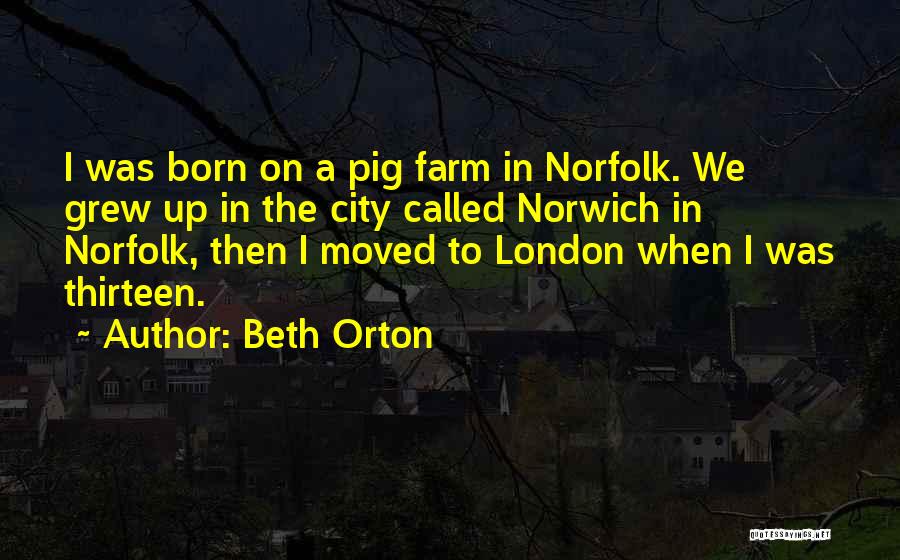 Beth Orton Quotes 687615