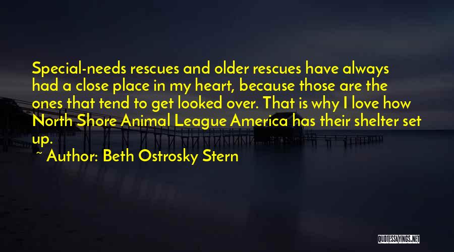 Beth Ostrosky Stern Quotes 1966636