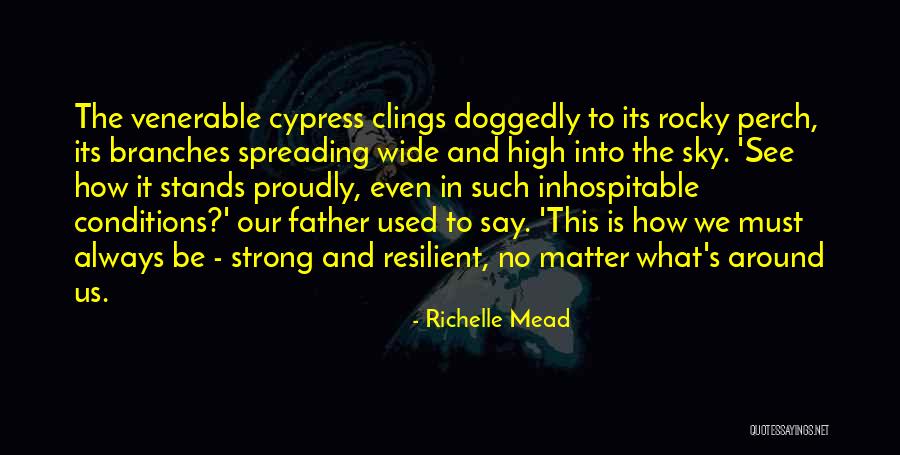 Bethesda Quotes By Richelle Mead Bethesda Quotes By Richelle Mead