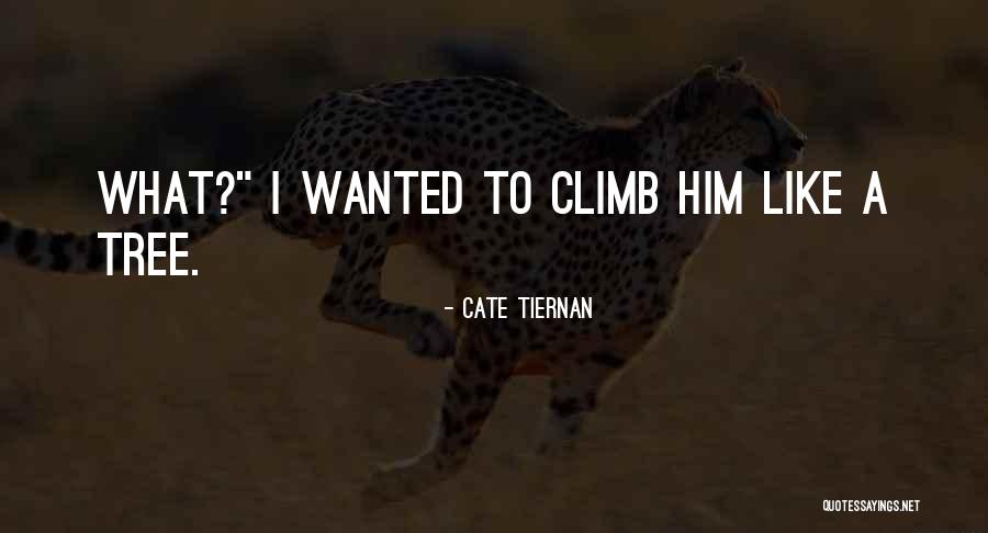 Betises Quotes By Cate Tiernan Betises Quotes By Cate Tiernan