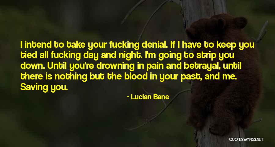 Betrayal Quotes By Lucian Bane