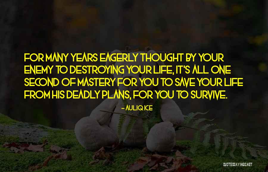 Betrayer Quotes By Auliq Ice Betrayer Quotes By Auliq Ice