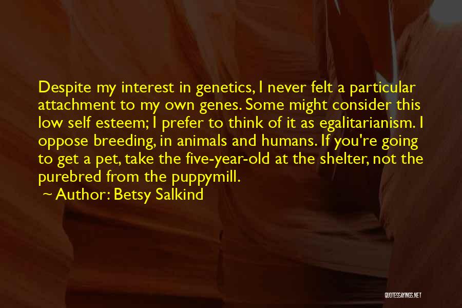 Betsy Salkind Quotes 727690