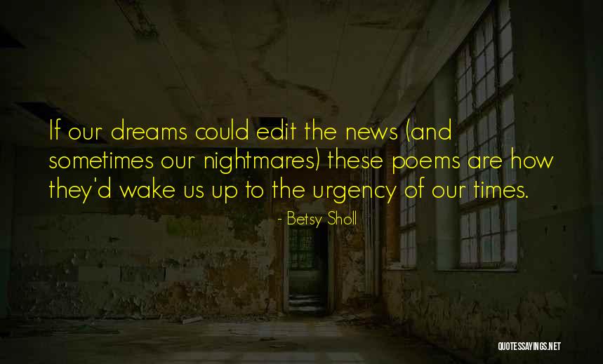 Betsy Sholl Quotes 1594474