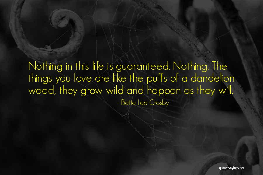 Bette Lee Crosby Quotes 1328477