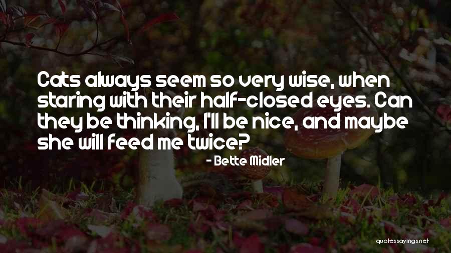 Bette Midler Quotes 509615