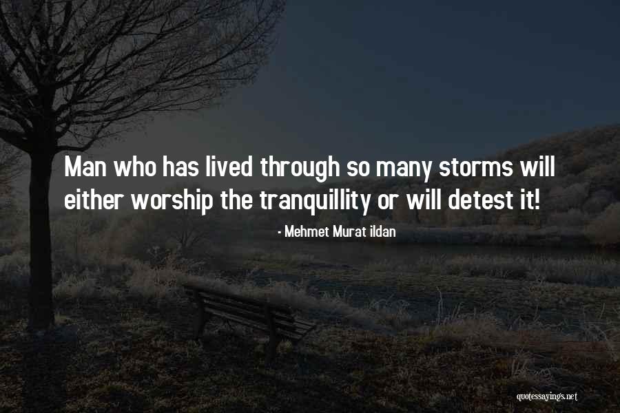 Bettensteuer Quotes By Mehmet Murat Ildan Bettensteuer Quotes By Mehmet Murat Ildan