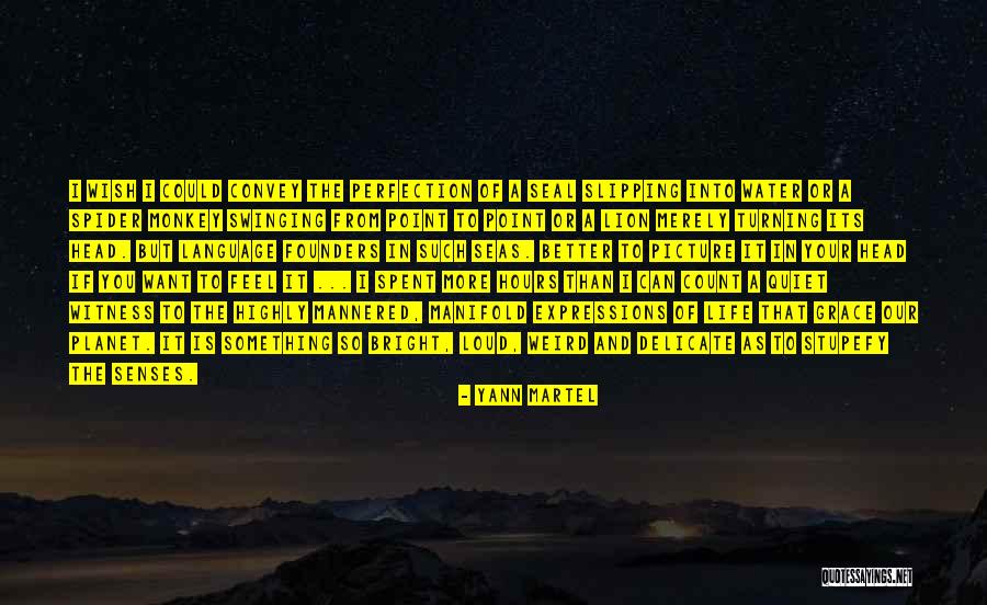 Better Be Quiet Now Quotes By Yann Martel Better Be Quiet Now Quotes By Yann Martel