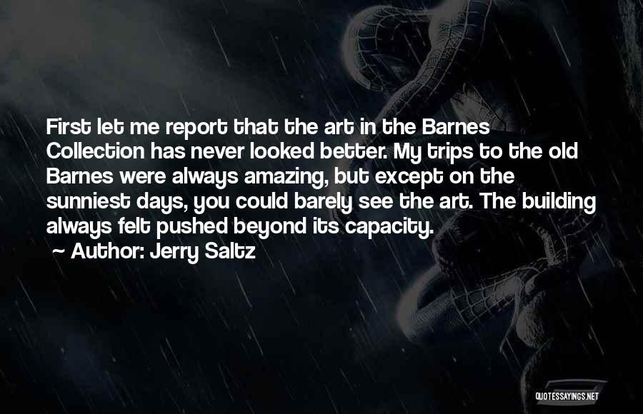 Better Days Are Yet To Come Quotes By Jerry Saltz
